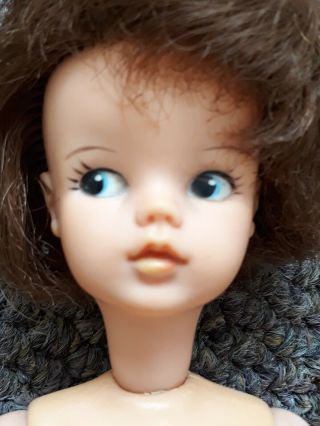Vintage Made In England 1963 - 1965 Auburn Sindy Doll in Weekenders 12GSS 3