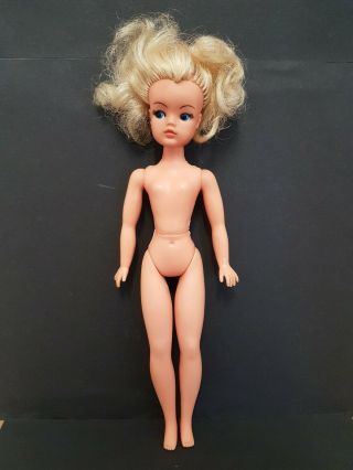 Vintage 1970s Sindy Trendy Girl Doll Body (incorrect Head) - Vgc
