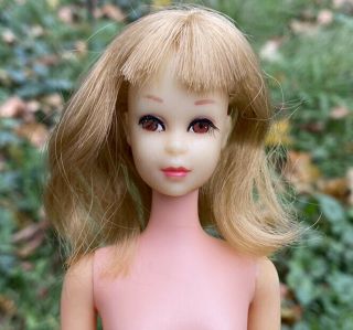 Barbie Francie Doll Straight Leg Tnt Head 1140 Hard Body