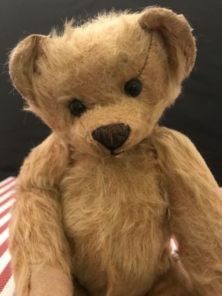 Early Antique Straw - Stuffed Teddy Bear: Sad But Sweet,  Needs Your Tlc
