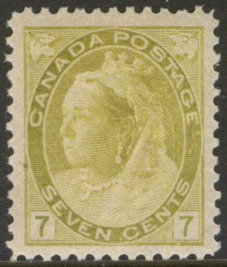 Canada 81 1902 Olive Yellow Qv 7c Numeral Disturbed Never Hinged Gum Vf Cv$750