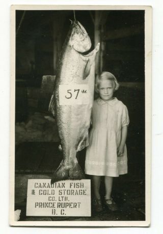 Canada Bc British Columbia - Prince Rupert - Fishing 57lb Salmon - Rppc Postcard