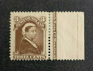 Newfoundland Stamp 51 Imprint Single Mh