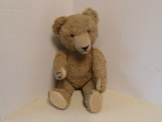 Antique 16 " German Teddy Bear Steiff ? Very