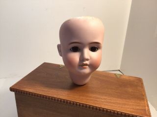 Antique Bisque Doll Head - Made In Germany 63