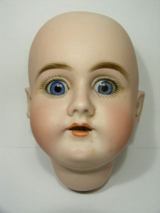 Antique Bisque Doll Head Germany