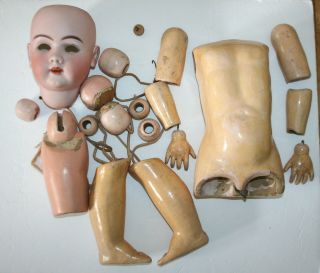Antique German Bisque Doll Head & Parts Simon & Halbig Heinrich Handwerck 6 1/2