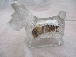 Vintage Th Stough Co.  Scotty Dog No.  22 Glass Candy Container Jeannette Glass