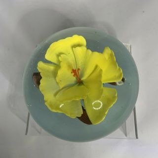 Vintage Hand Blown Glass Paperweight Floral Office Yellow Tropical Hibiscus