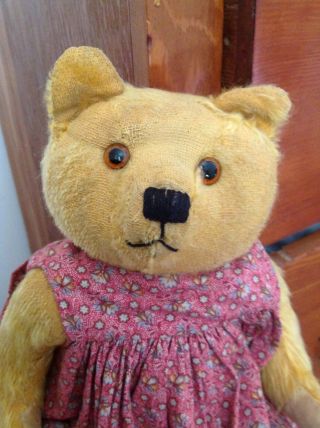 14 " Vintage Antique Mohair Teddy Bear Jointed.
