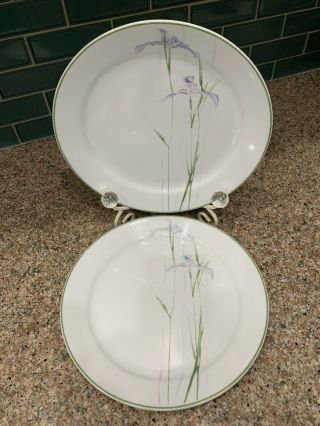 3 Corelle Shadow Iris 10” Dinner Plates Green Rim Purple Lavender On White