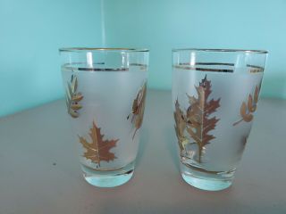 2 Vintage 1960’s Libby Frosted Gold Leaf 8 Ounce Water Glasses Mcm