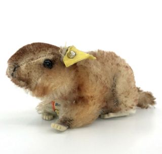 Steiff Murmy Marmot Mohair Plush Ground Hog 10cm 4in Id Button Tags 1960 - 64 Vtg