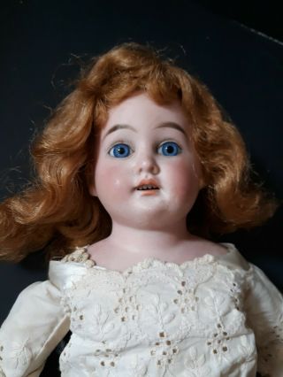Antique German or French bisque Doll HEAD leather body TLC not Marked 2