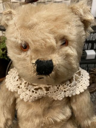 Vintage 1940’s - 1950’s English Teddy Bear Chiltern ?