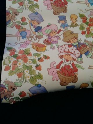 Vintage Strawberry Shortcake Wallpaper,  Pre - Pasted Roll 3