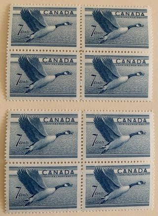 7 Cent Canada Stamp With Geese (2 Blocks Of 4 = 8 Total)