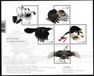 Canada 2929 Birds Souvenir Sheet Mnh 2016