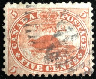 Canada Scott 15 5 Cent Beaver Vermilion Stamp