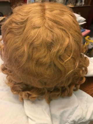 Fine Vtg Antique 17 Gorgeous Strawberry Blond Mohair Wig German Bisque Doll
