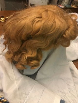 Fine Vtg Antique 17 Gorgeous Strawberry Blond Mohair Wig German Bisque Doll 3