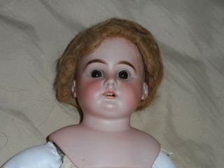 Antique Doll Cuno,  Otto,  Dressel Cod 93 - 2 Dep 20 " Head,  Body Is Not Old