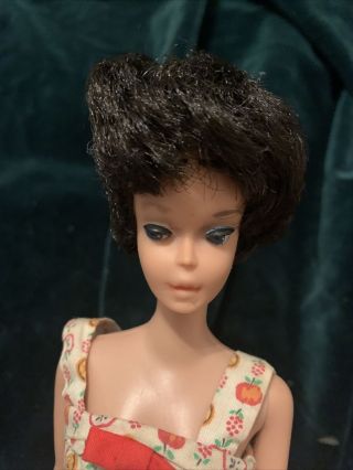Vintage Barbie Brunette Bubblecut Doll 1961 Tlc