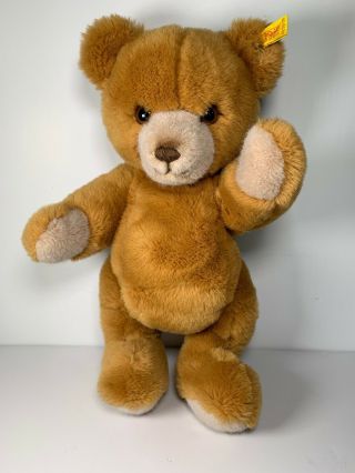 Vintage 1984 Steiff Petsy Jointed Teddy Bear 0230/35 35cm 14 Inch Germany