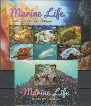 St Vincent - Bequia Both S/s Marine Life Mollusks Of The Caribbean 2015 Mnh - 26 Eur