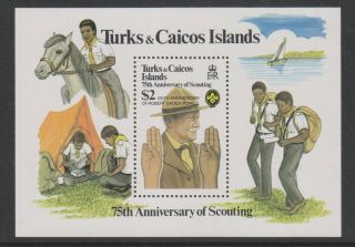 Turks & Caicos - 1982,  Boy Scouts,  Baden Powell Sheet - Mnh - Sg Ms694