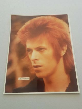 David Bowie Ziggy Stardust Mick Rock 8 " X 10 " 1972 Promo Photo Print