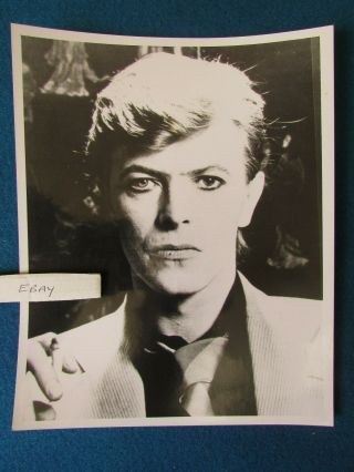 Press Promo Photo - 10 " X8 " - David Bowie - A
