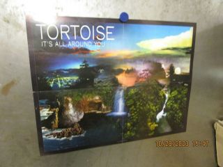 Tortoise It 