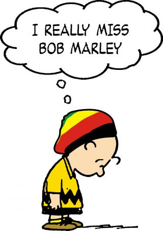 I Really Miss Bob Marley T Shirt The Wailers Reggae