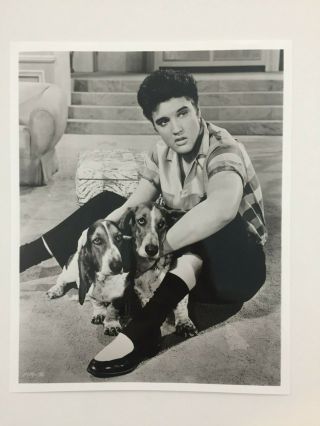 Elvis Presley 8x10 Vintage 40,  Year Old Ultra Clear Photo 1719 - 38
