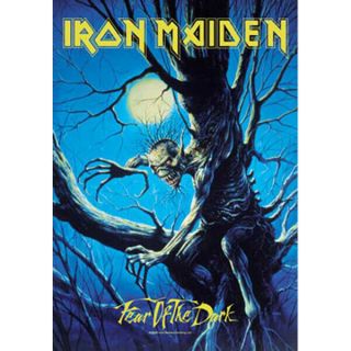 Iron Maiden Fear Of The Dark Tapestry Cloth Poster Flag Wall Banner 30 " X 40 "