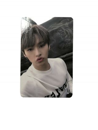Stray Kids Cle 2: Yellow Wood Official Photocard - Lee Know
