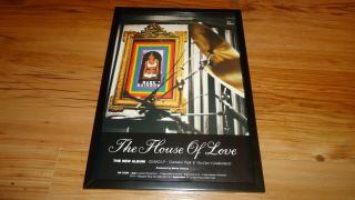 The House Of Love Babe Rainbow - Framed Advert