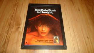 Kate Bush Lionheart - 1978 Framed Advert