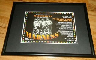 Madness Finsbury Park 1998 - Framed Press Release Promo Poster