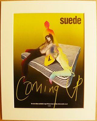 Suede Coming Up Album 1996 Music Press Poster Type Advert In Mount