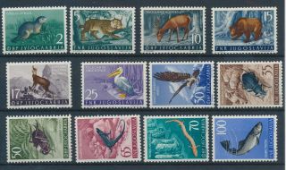 [bin10037] Yugoslavia 1954 Fauna Ood Set Very Fine Mnh Stamps Val $185