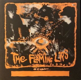 Flaming Lips On My Gawd Promo Poster 20x20
