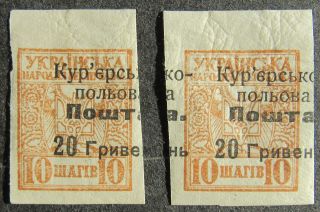 Ukraine 1919 Courier Field Post,  10sh,  Shifted Overprint,