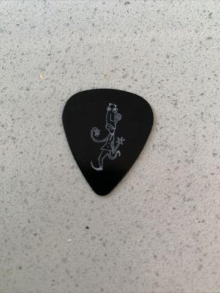 Pearl Jam Guitar Pick From Deluxe Box Set