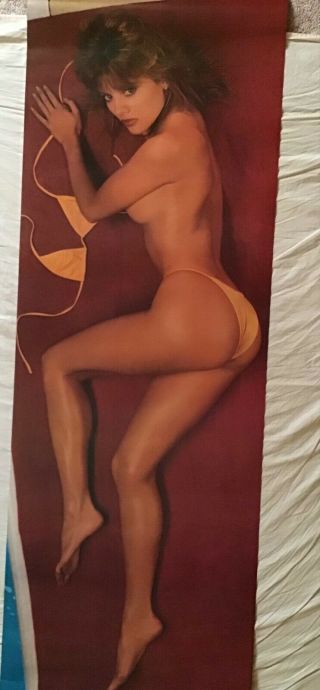 Laurie Carr Life Size Poster Sexy Bikini Girl Bare Breasts Legs 26 X 76 Pinup