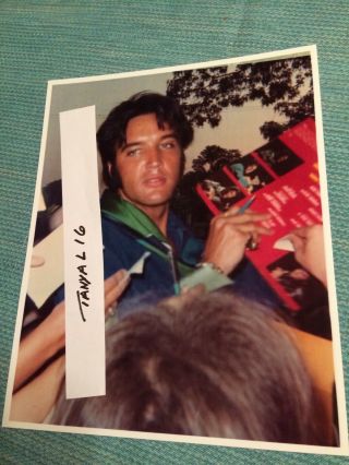 Elvis Presley Rare Signing Autographs With Fans At Graceland Gates 1969 Candid