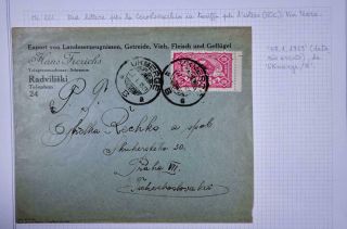 LITHUANIA to CZECH 1923 Pigeon Bird on Food Seller Cover UKMERGE to Praha LOOK 3