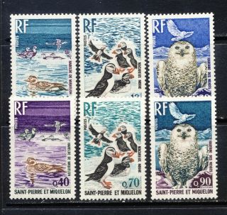 St.  Pierre And Miquelon Bird Set,  Owls,  Puffins,  Ducks Sc.  423 - 8 Mnh Vf 38.  00