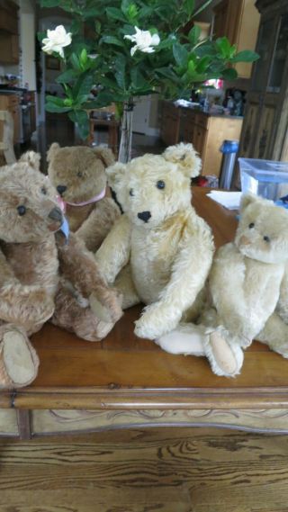 Antique Steiff Teddy Bear 17 "